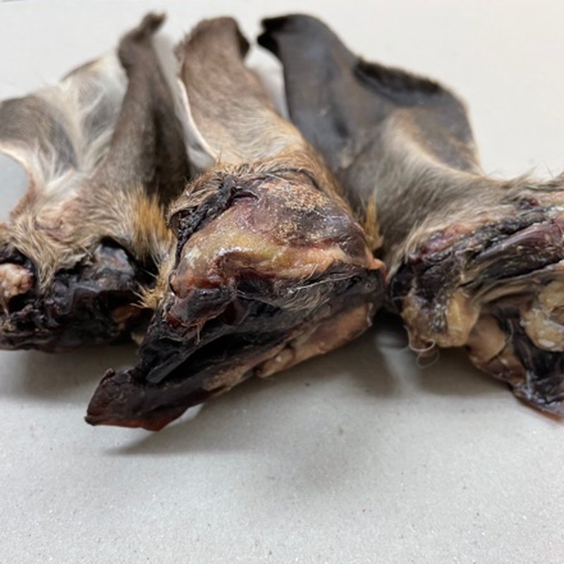 Deer Ears