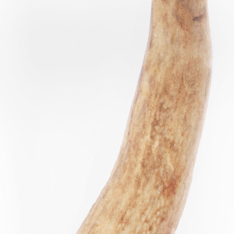 Hard Antler — Small