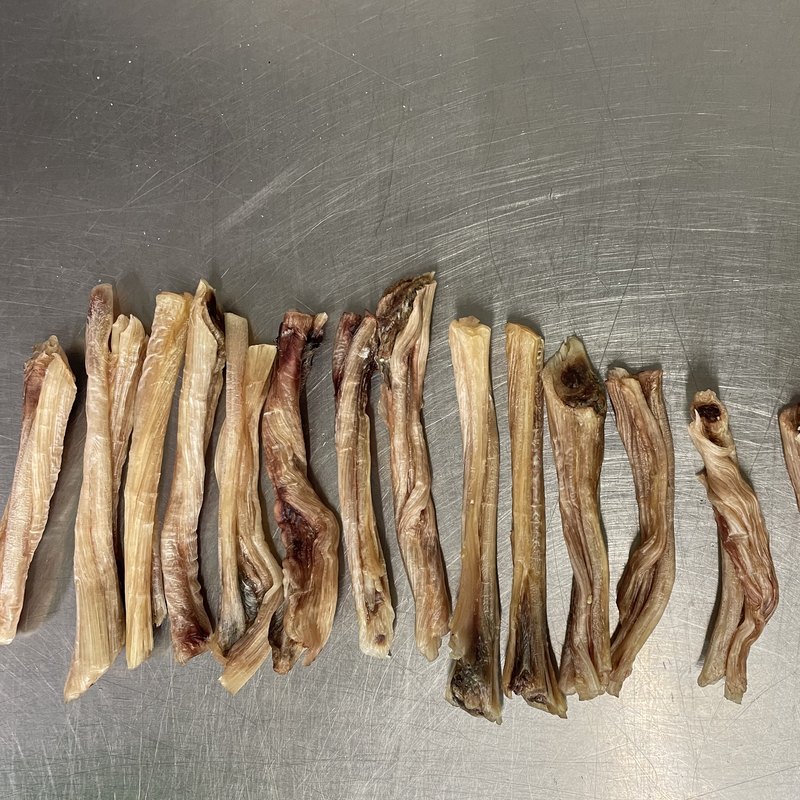 Tendon