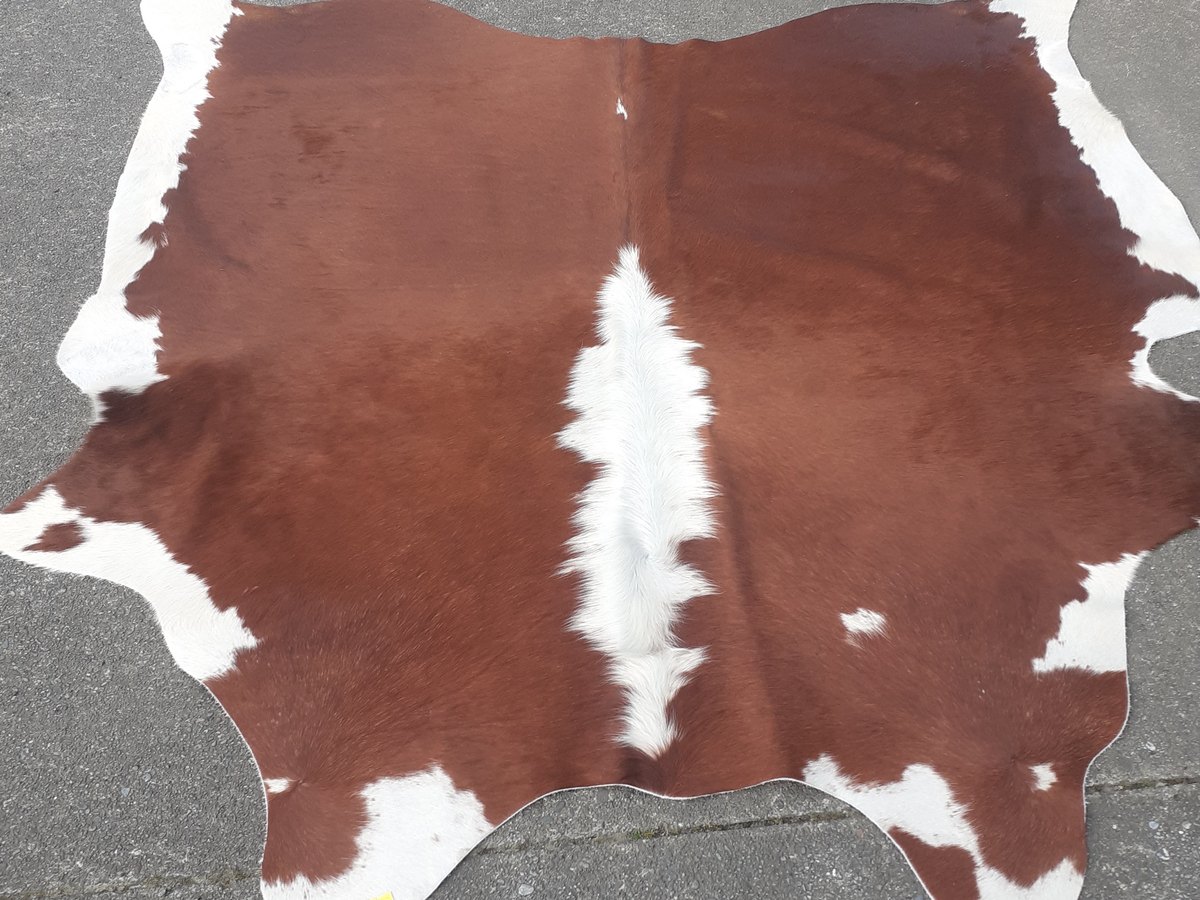 Cattle skin rug