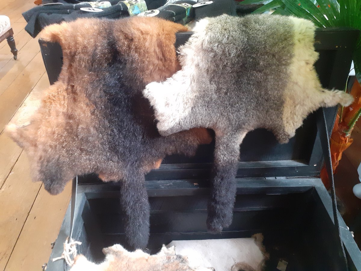 Possum skin pelts