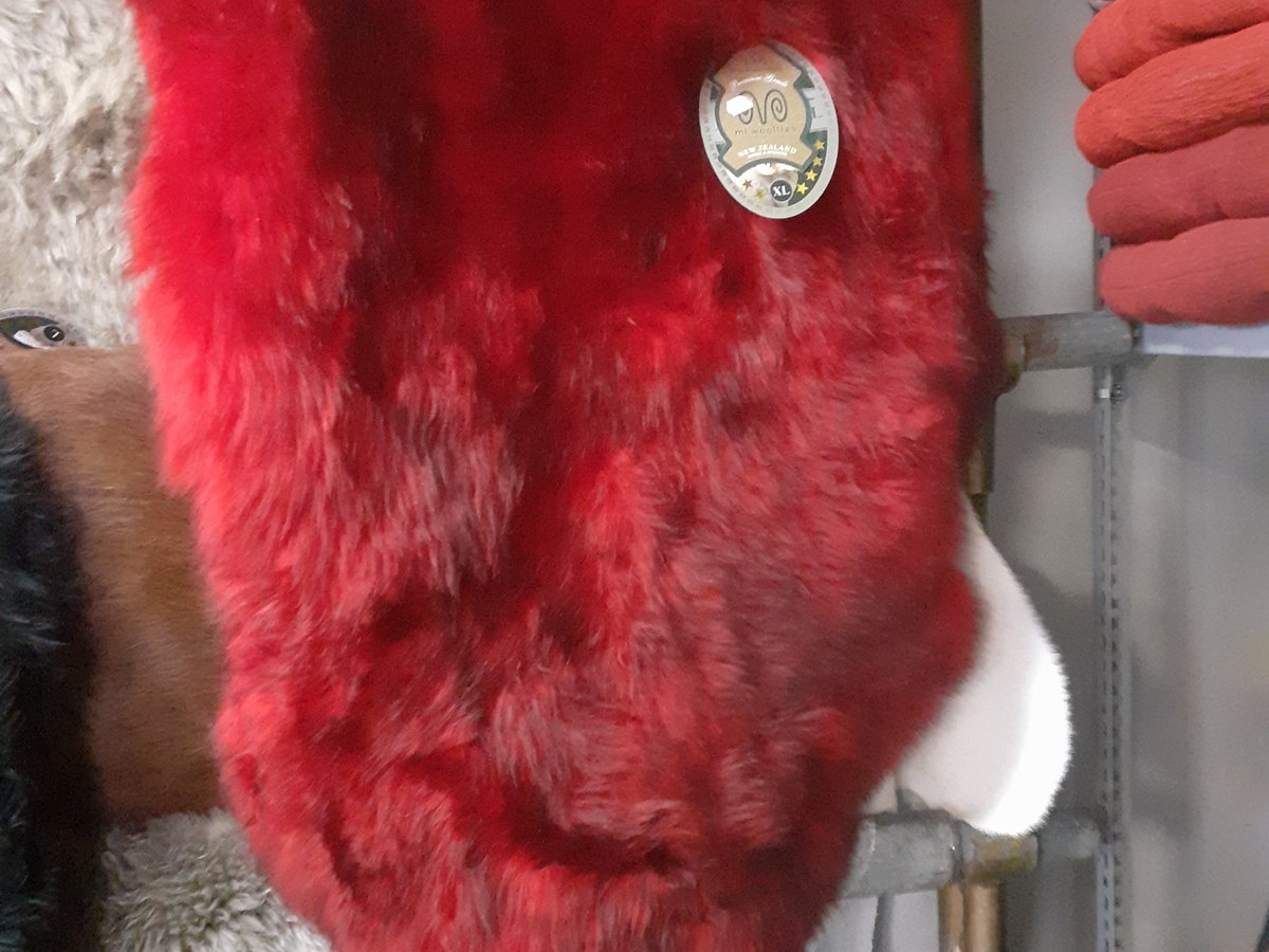 Sheep skin rug